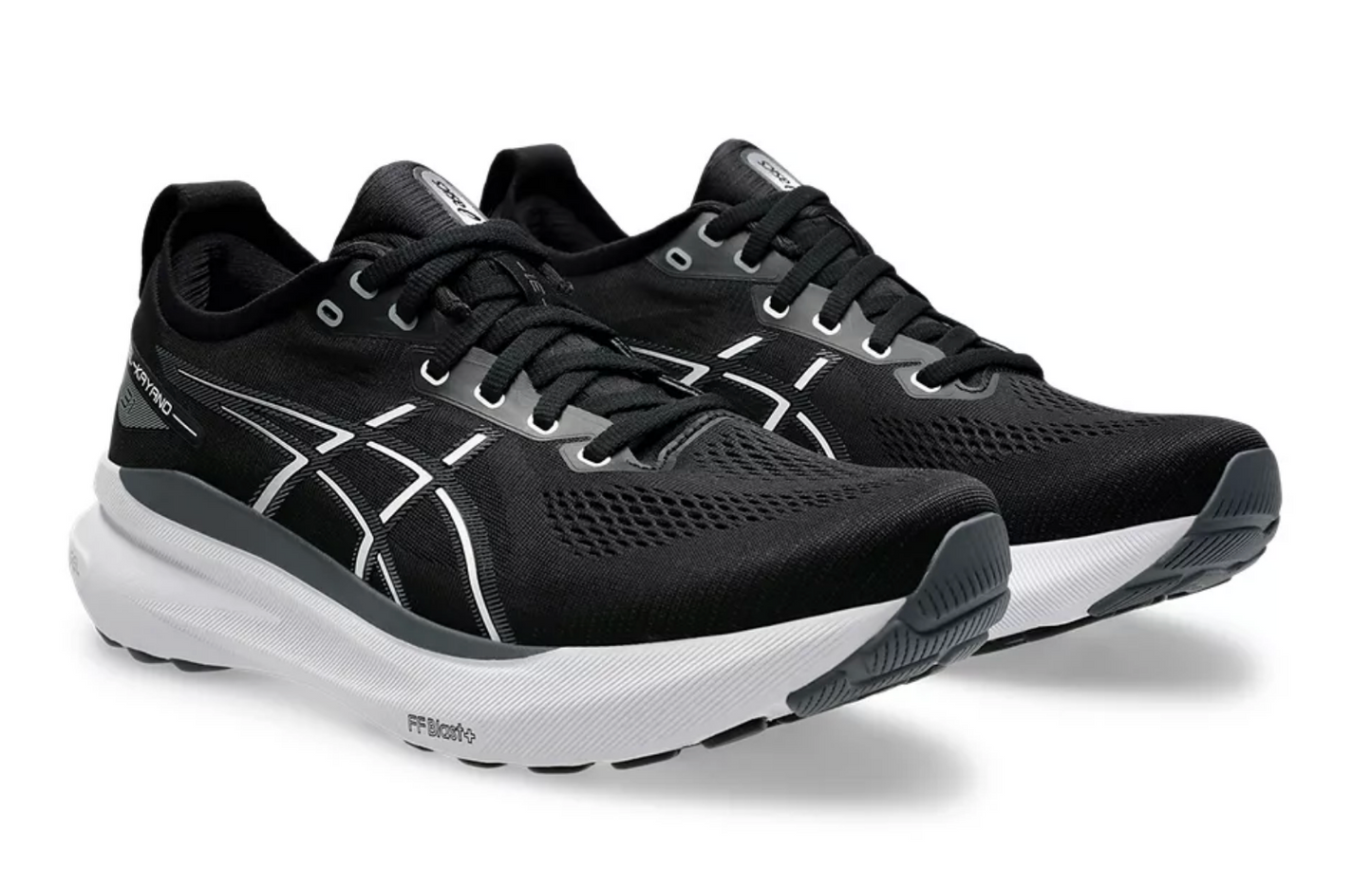 Gel-Kayano 31 Men's 2E Wide