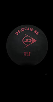 Recreational Progress Squash Ball