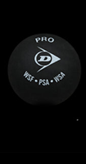 Pro Squash Ball