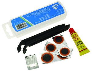 DLX Tire Repair Kit
