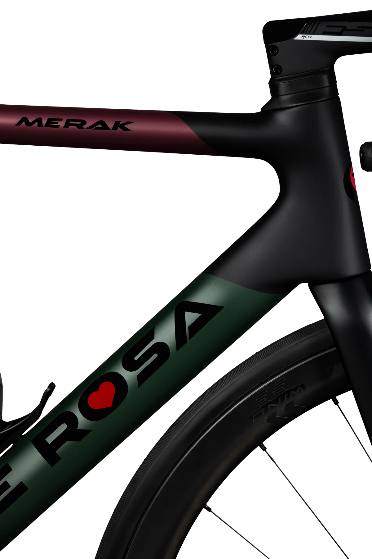 Merak - Italian Origin