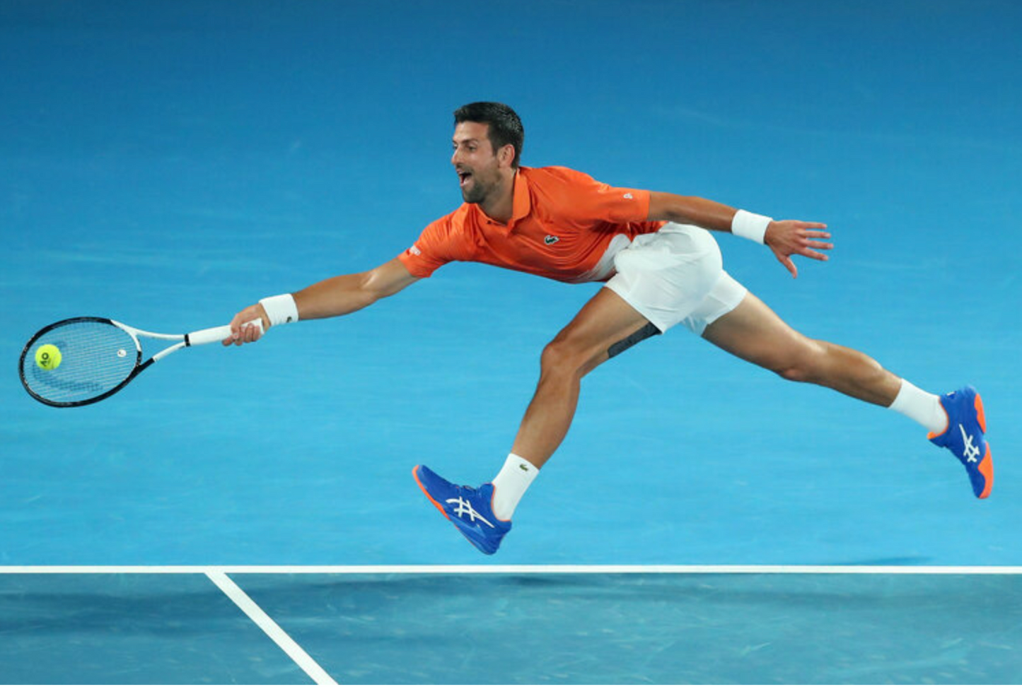 Court FF 3 Novak