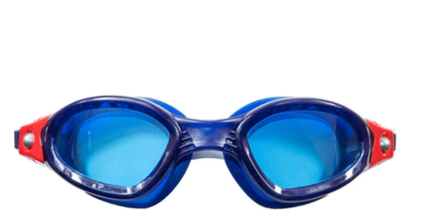 Vision Plus