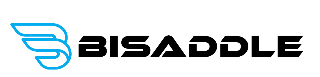 Saint Pro 3D
