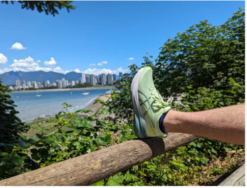 Gel-Kayano 31 Men's
