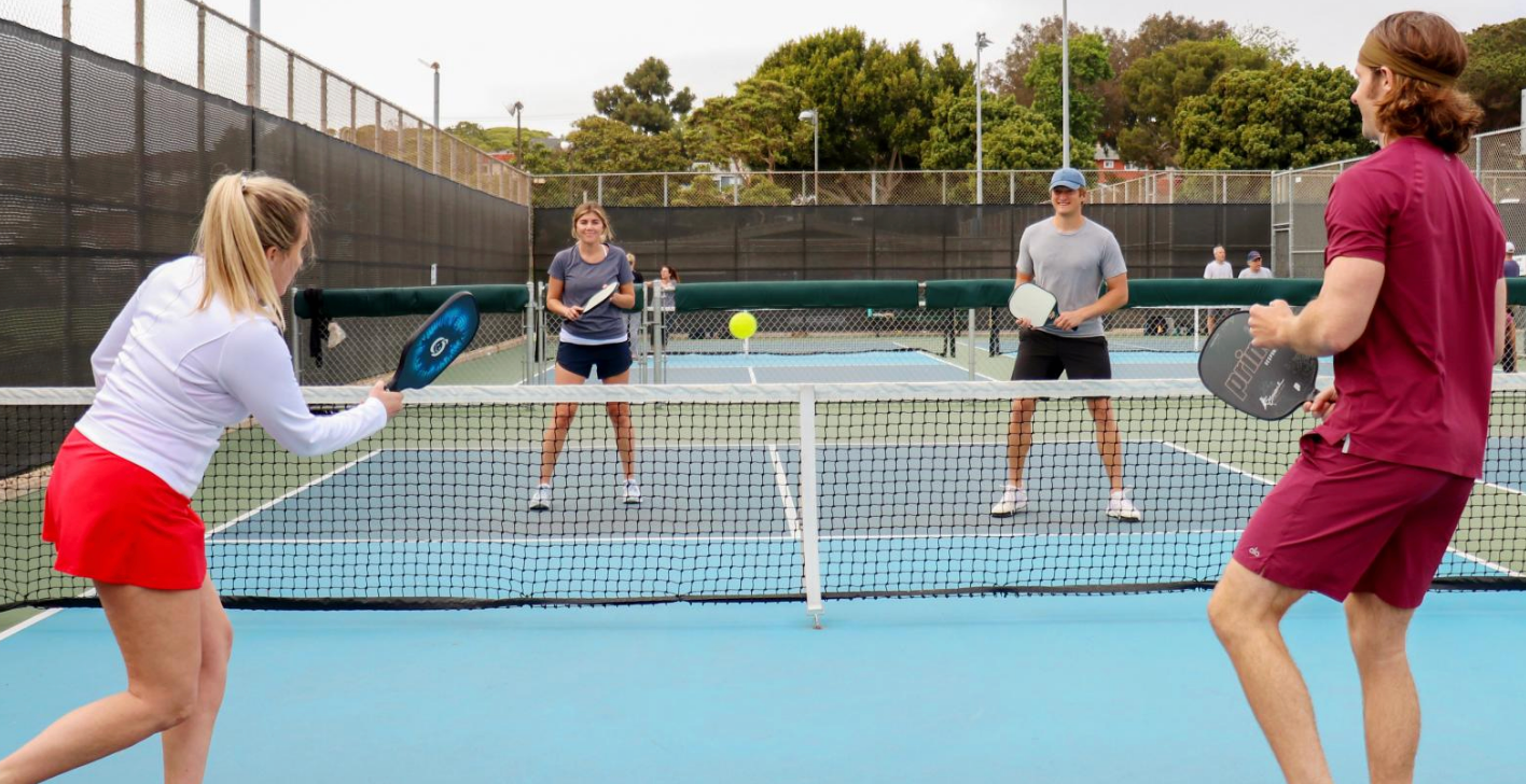 Portable Net System