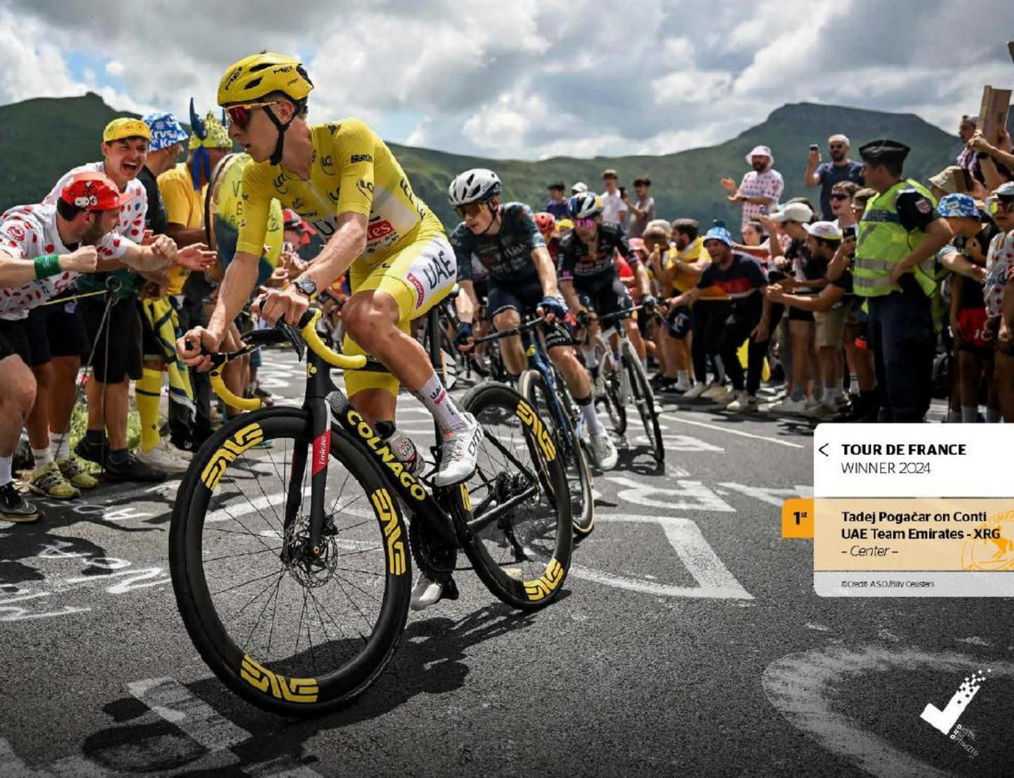 Archetype Tour de France   Limited Edition