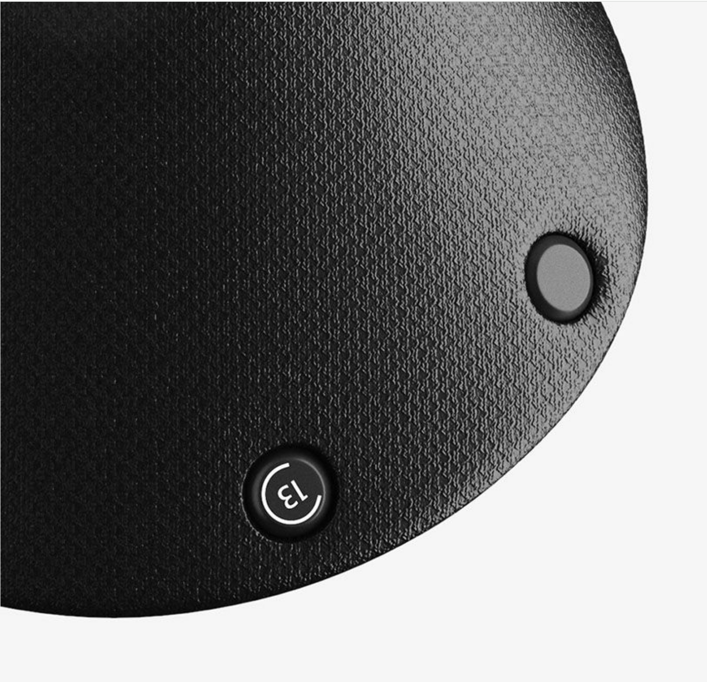 C13 Cambium -  Carved