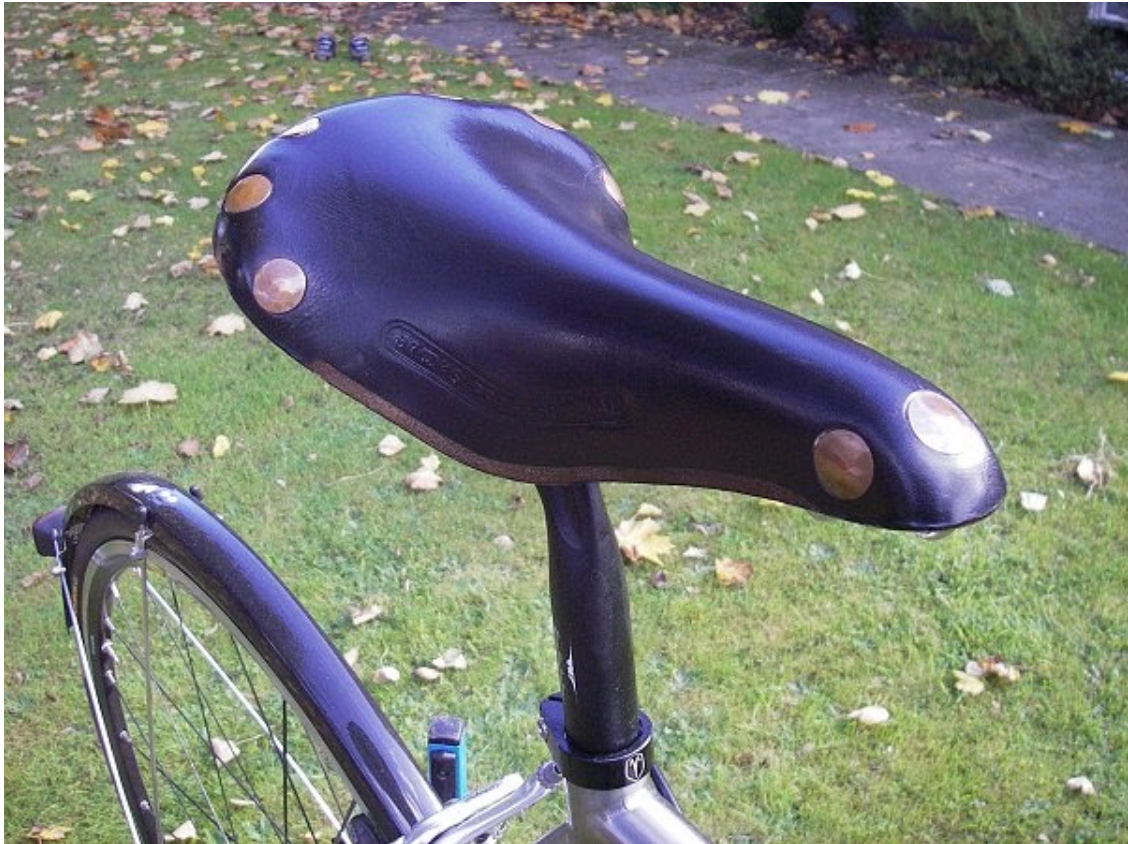 Team Pro Special Limited Edition