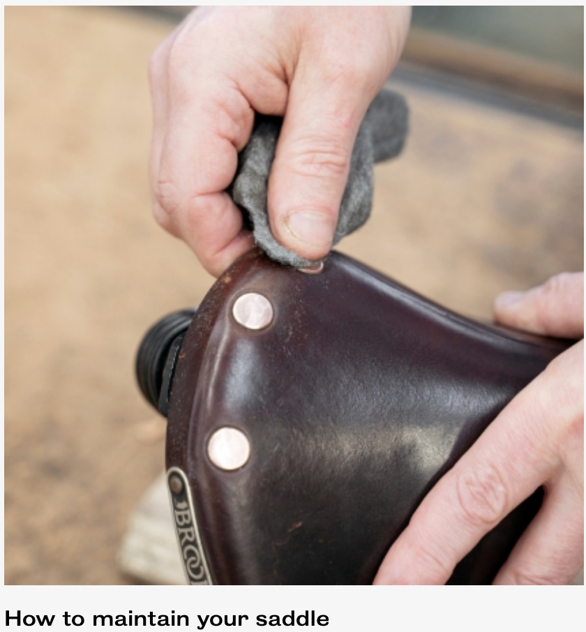 Team Pro Special Limited Edition