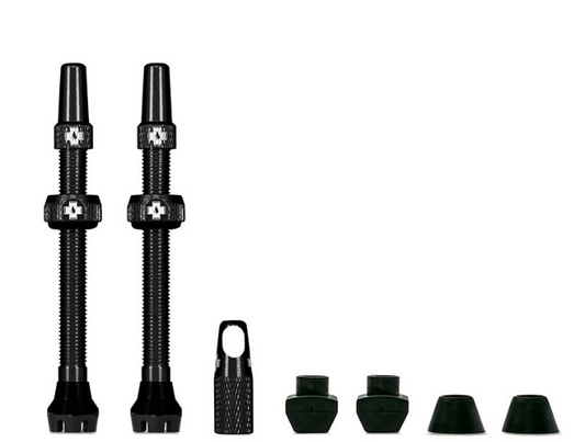Tubeless Valve V2