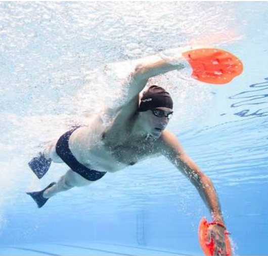 Training Fins