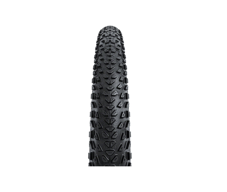 Dubnital Trail  Tire
