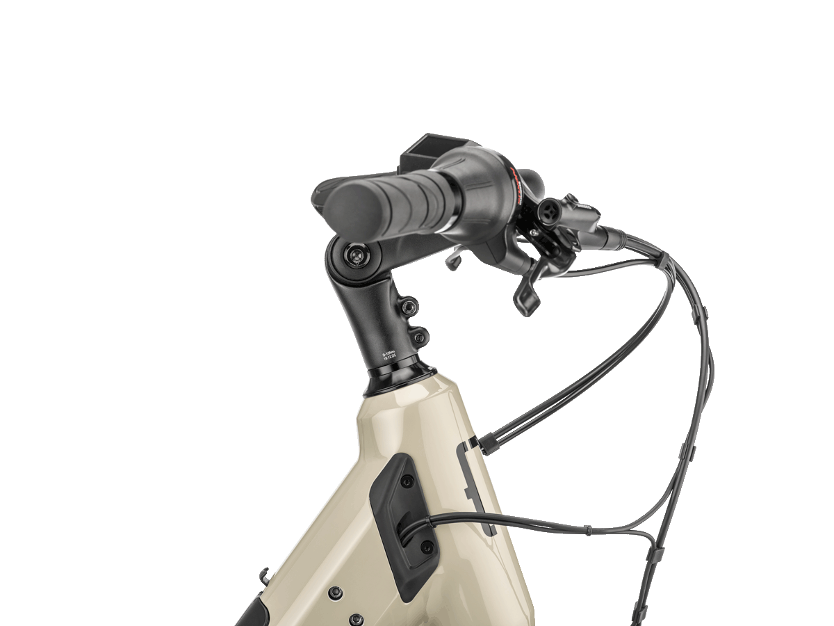 Moustache  Mardi 27.4