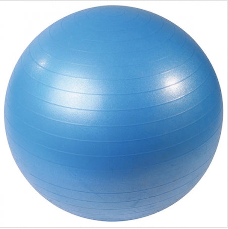 Anti-Burst Stability Ball 65 cm